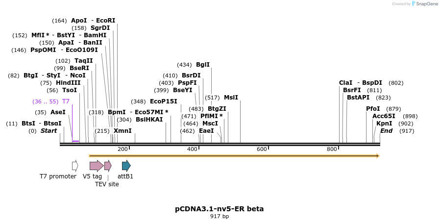 28607_map