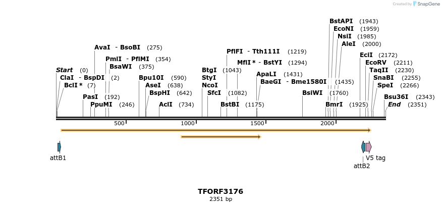 286071_map