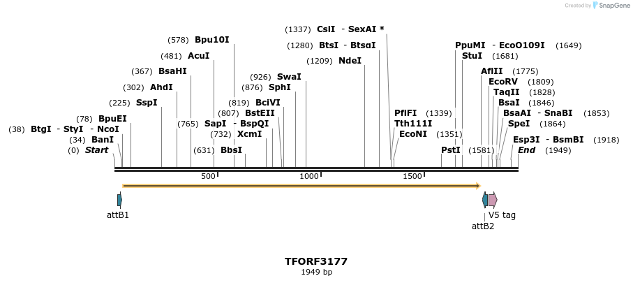286074_map