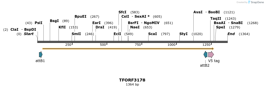 286077_map