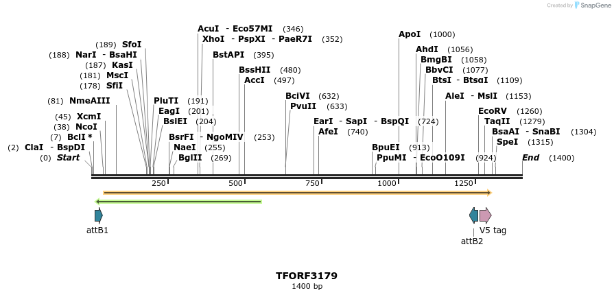 286080_map