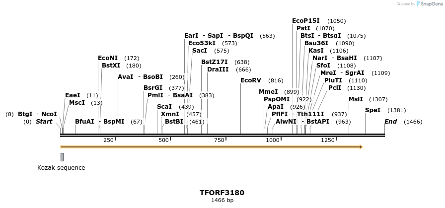 286083_map