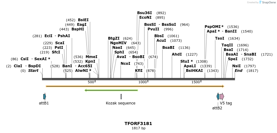 286086_map