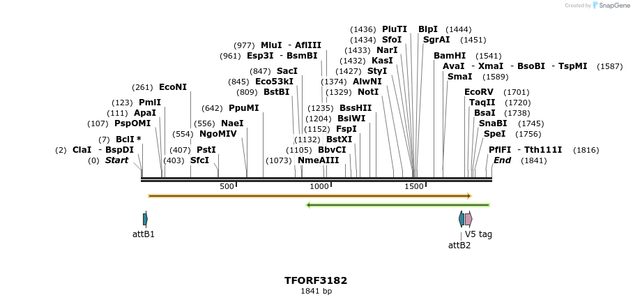 286089_map