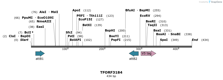 286095_map