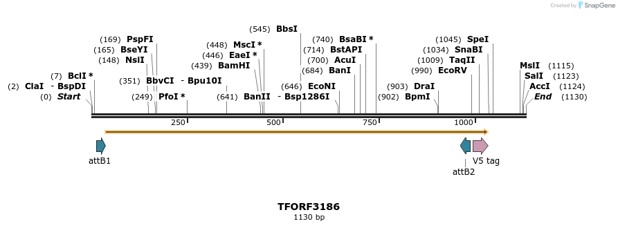 286101_map