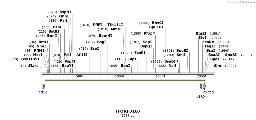 286104_map