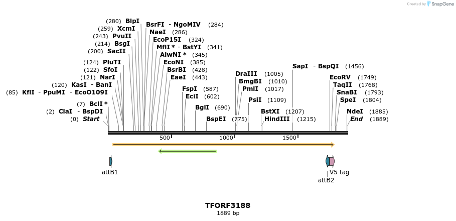 286107_map