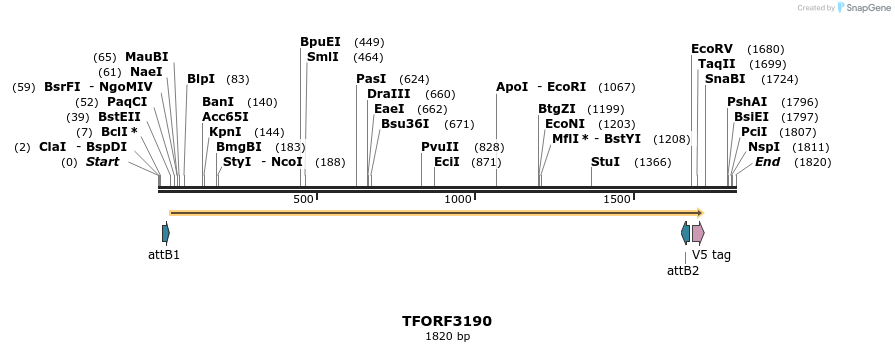 286113_map