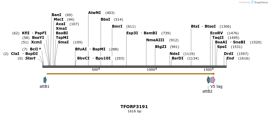 286116_map