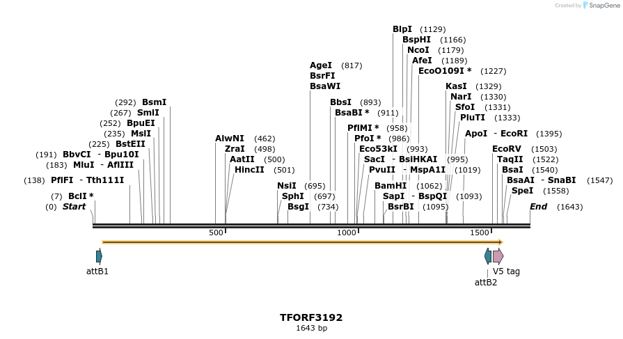 286119_map