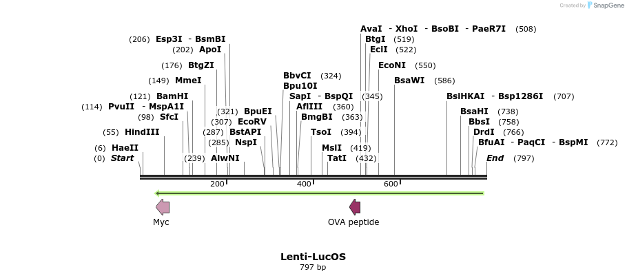 28612_map