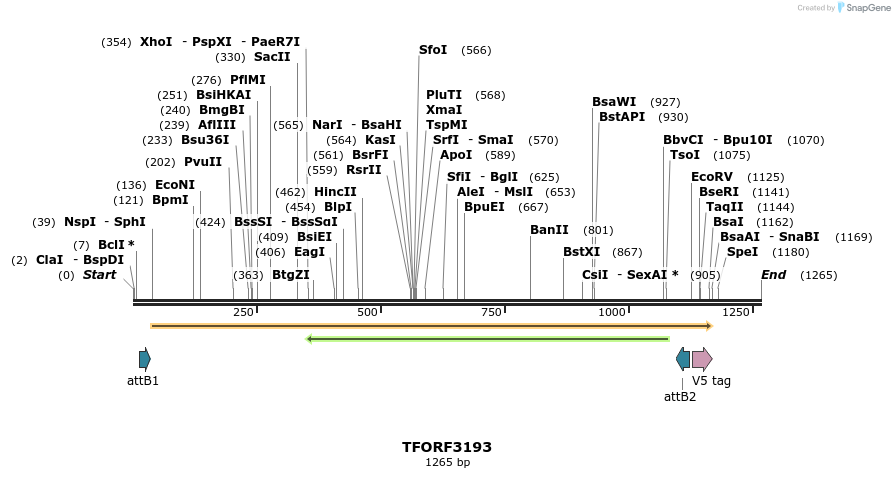 286122_map