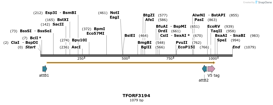 286125_map