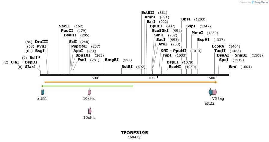 286128_map