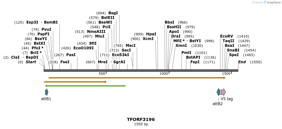 286131_map