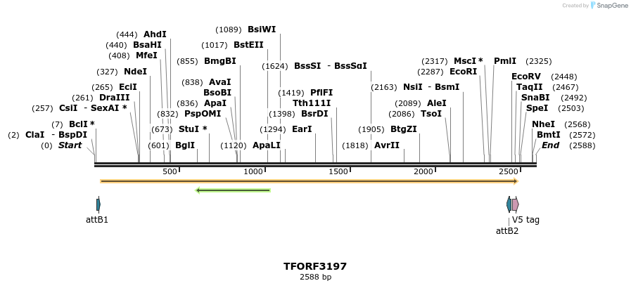 286134_map