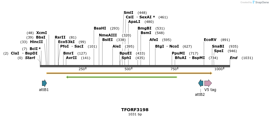 286137_map