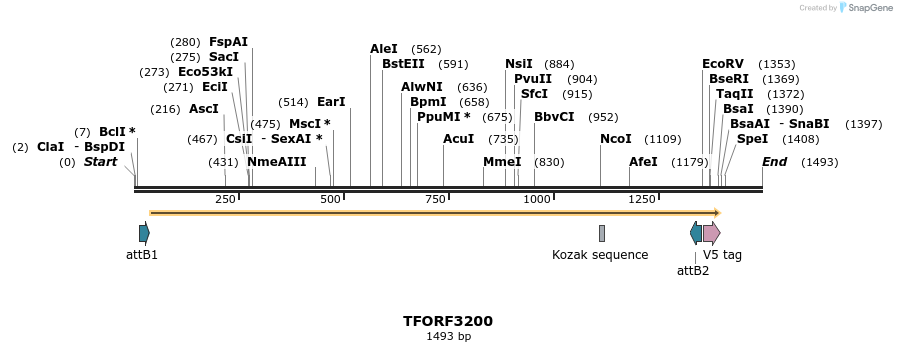 286143_map