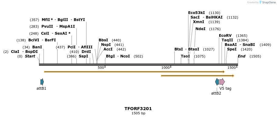 286146_map