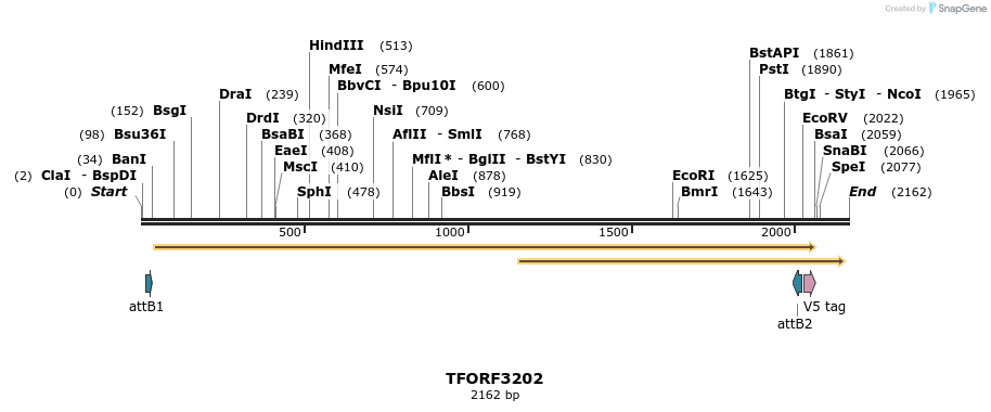 286149_map