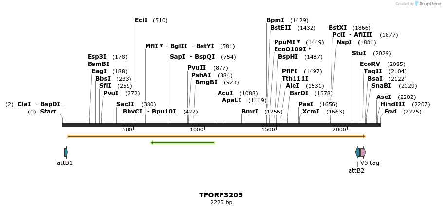 286158_map