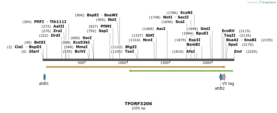 286161_map