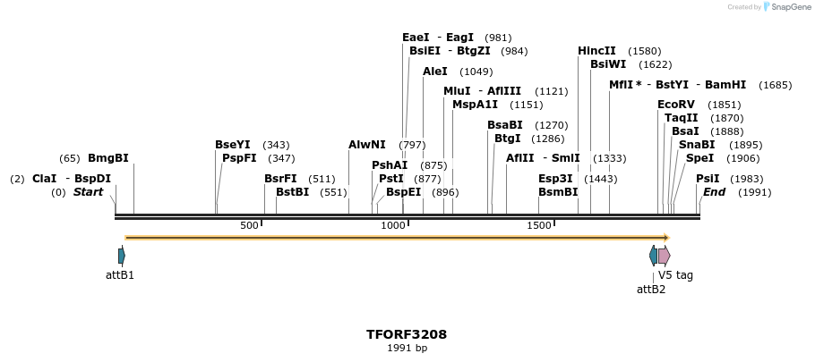286167_map