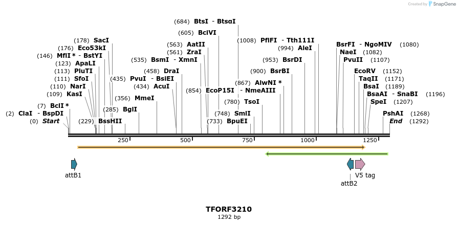 286173_map
