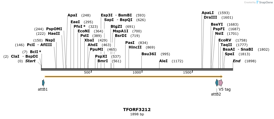 286179_map
