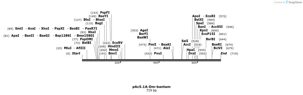 28618_map