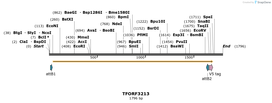 286182_map