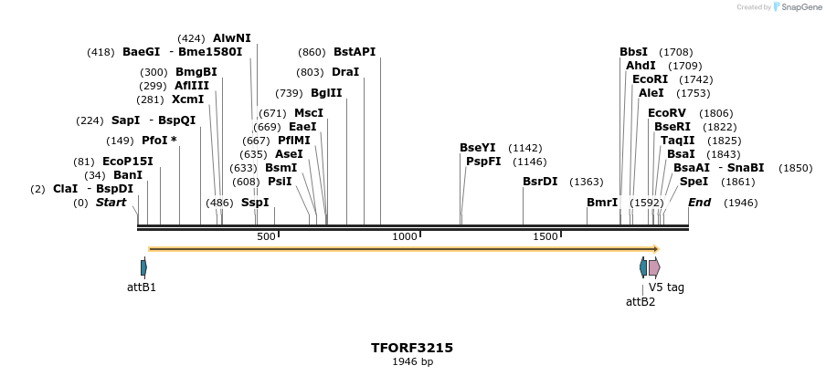286188_map