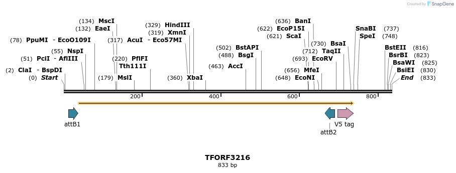 286191_map