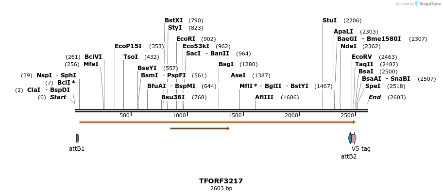 286194_map