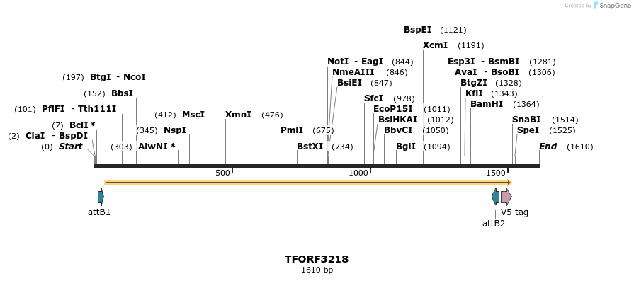 286197_map
