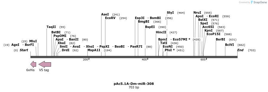 28620_map