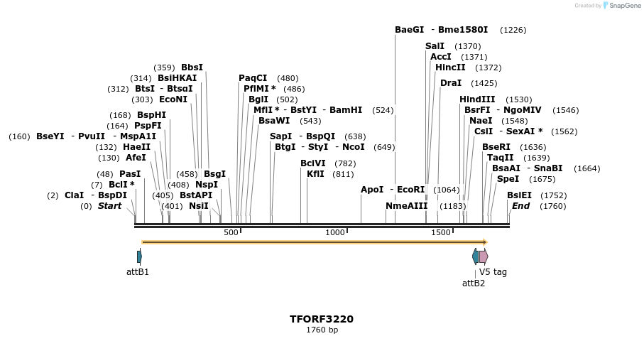 286203_map