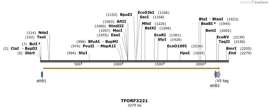286206_map