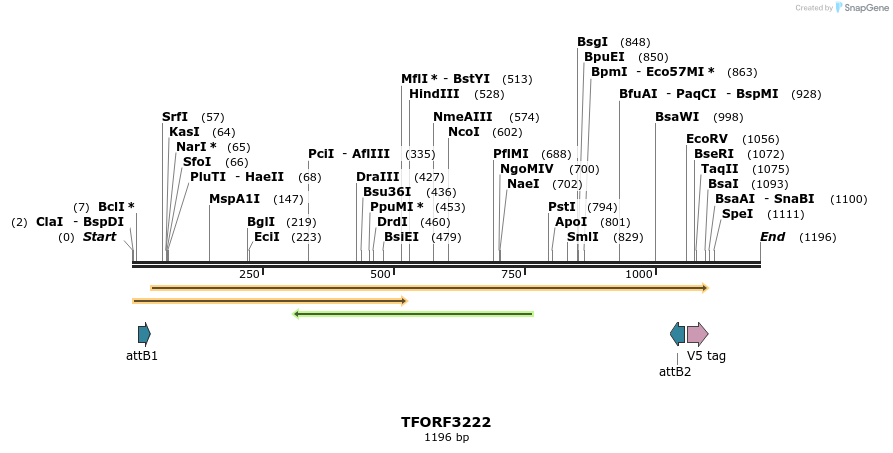 286209_map