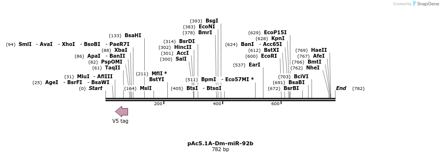 28621_map