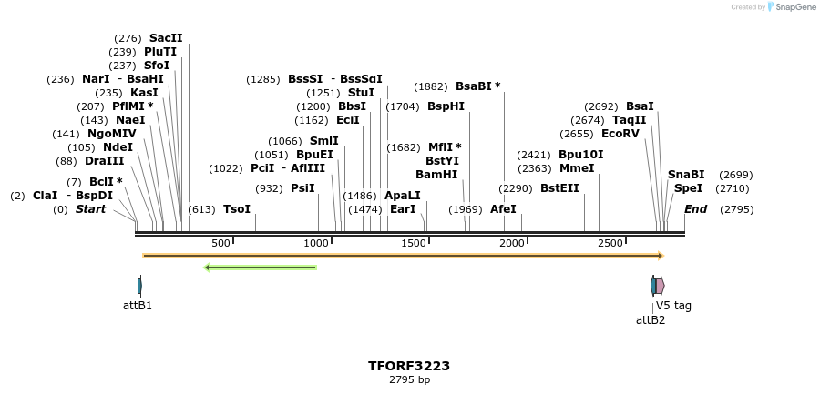 286212_map