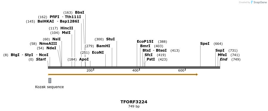 286215_map