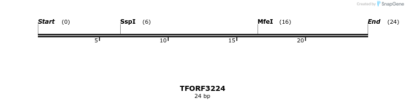 286216_map