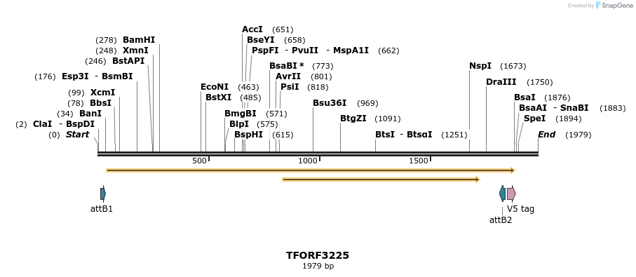 286218_map