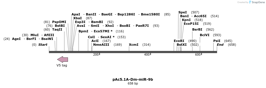 28622_map