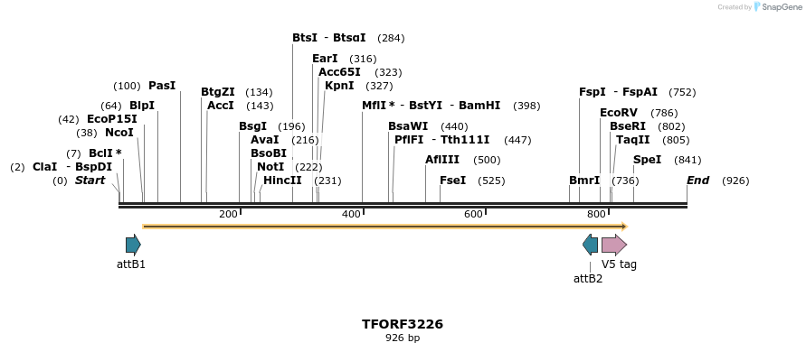 286221_map