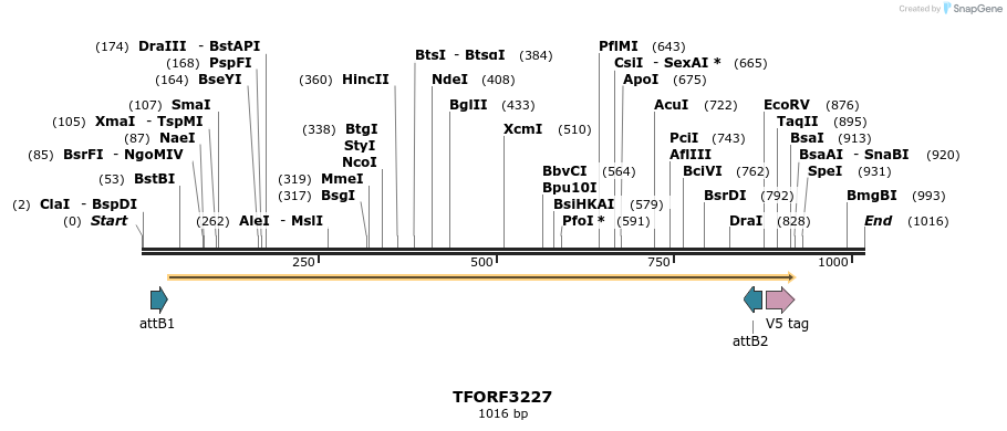 286224_map