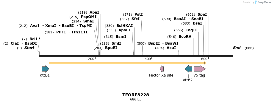 286227_map