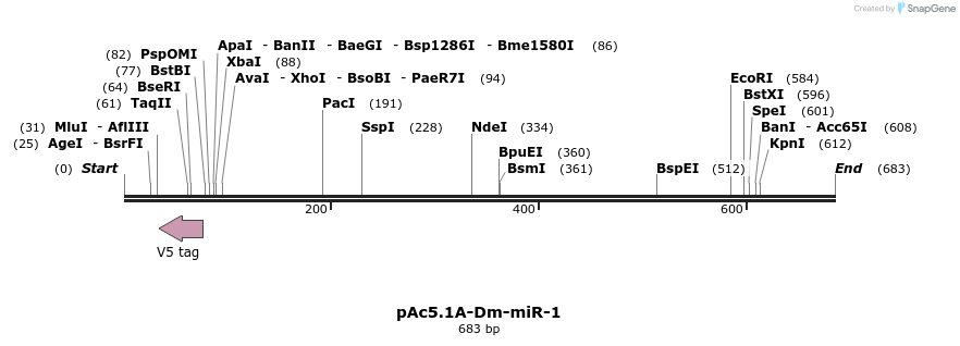 28623_map